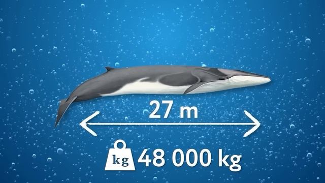 100 Самых Необъяснимых Существ в Океане смотреть онлайн