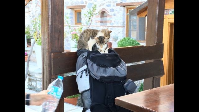 Holy Mount Athos - walk through 4 monasteries/ Святая гора Афон - путешествие 4 монастырей смотреть онлайн