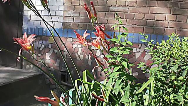 Дальневосточные цветы 25 Jun 2018 saranki смотреть онлайн