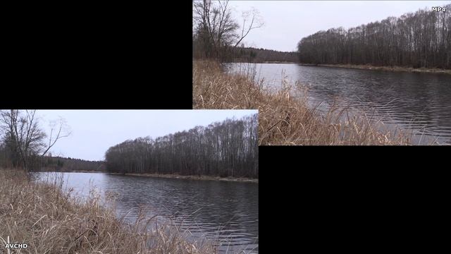 Canon HF G30 #12. AVCHD 28Mbps vs. MP4 35Mbps (MTS/MP4 files inside) смотреть онлайн
