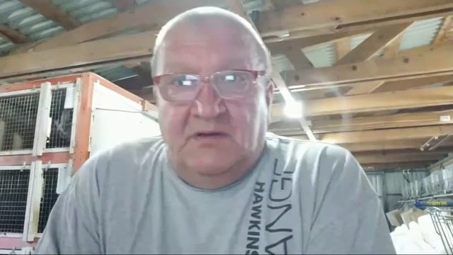 ?Чистота породы кроликов. Воспитание породного стада. #Макляк #Макрол смотреть онлайн