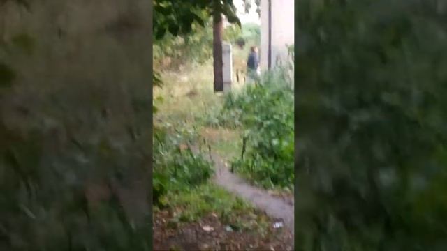 Поиск в омске закладок(1) смотреть онлайн