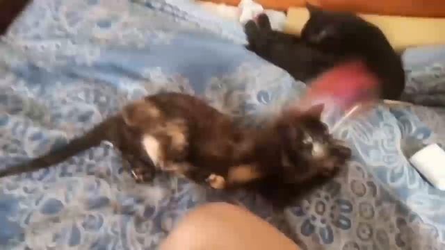 Разбила наушники??? смотреть онлайн