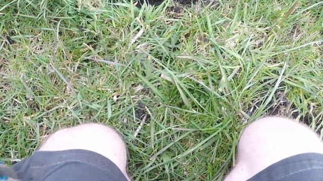 ROUND 2!! Nokta Makro Simplex Vs Xp Orx | #noktamakrosimplex #orx #metaldetecting