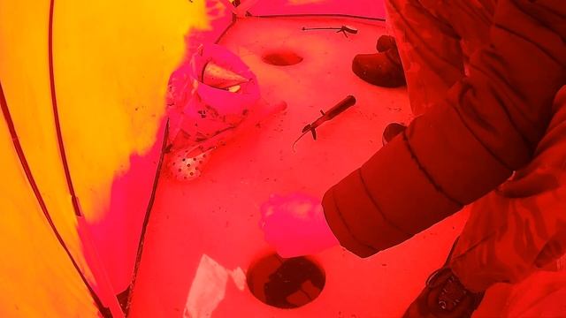 ??Казахстан.Темиртау.Ловля Леща По Последнему Льду #рыбалка #рыбалкаказахстане смотреть онлайн