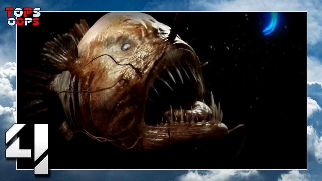 6 5 САМЫХ УРОДЛИВЫХ ЖИВОТНЫХ ПЛАНЕТЫ смотреть онлайн