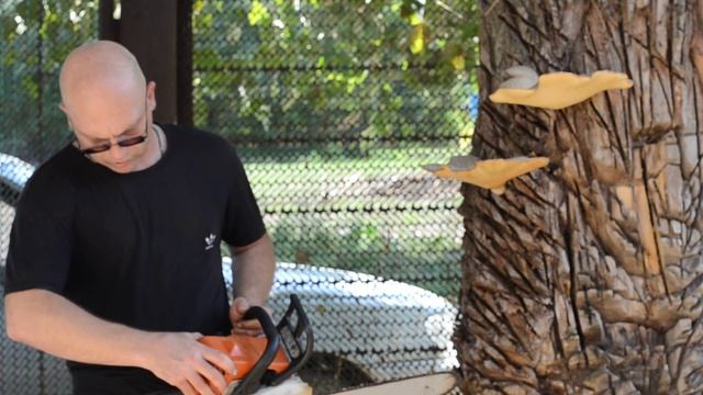 Бензопила STIHL MS-180 смотреть онлайн