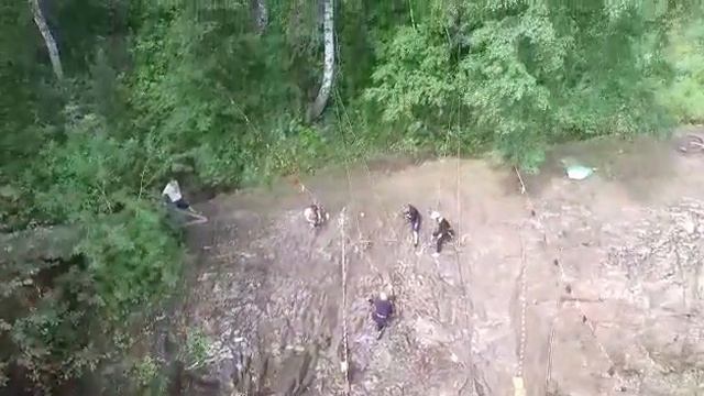 ОТКРЫТИЕ Дюймовочки смотреть онлайн