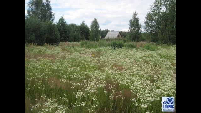 Широкий участок в тихой деревне смотреть онлайн