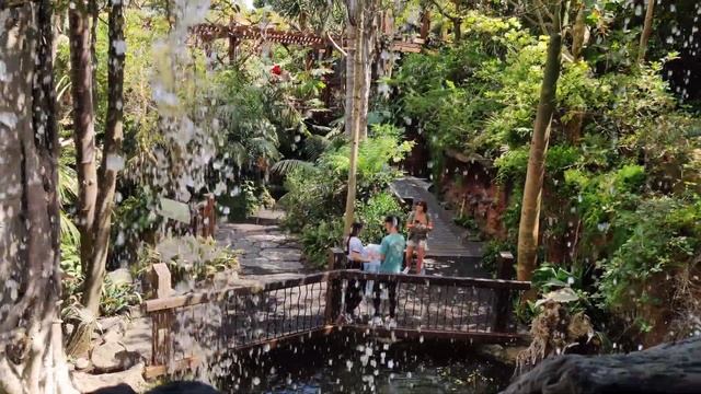 Майорка/Аквариум в Пальма де Майорка/Балеарские острова/Испания смотреть онлайн