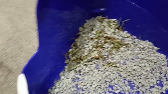 HOW TO litter train your rabbit in one week | Bunny Potty Training смотреть онлайн