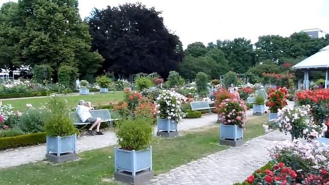 Hamburg - Planten un Blomen - Rosengarten смотреть онлайн