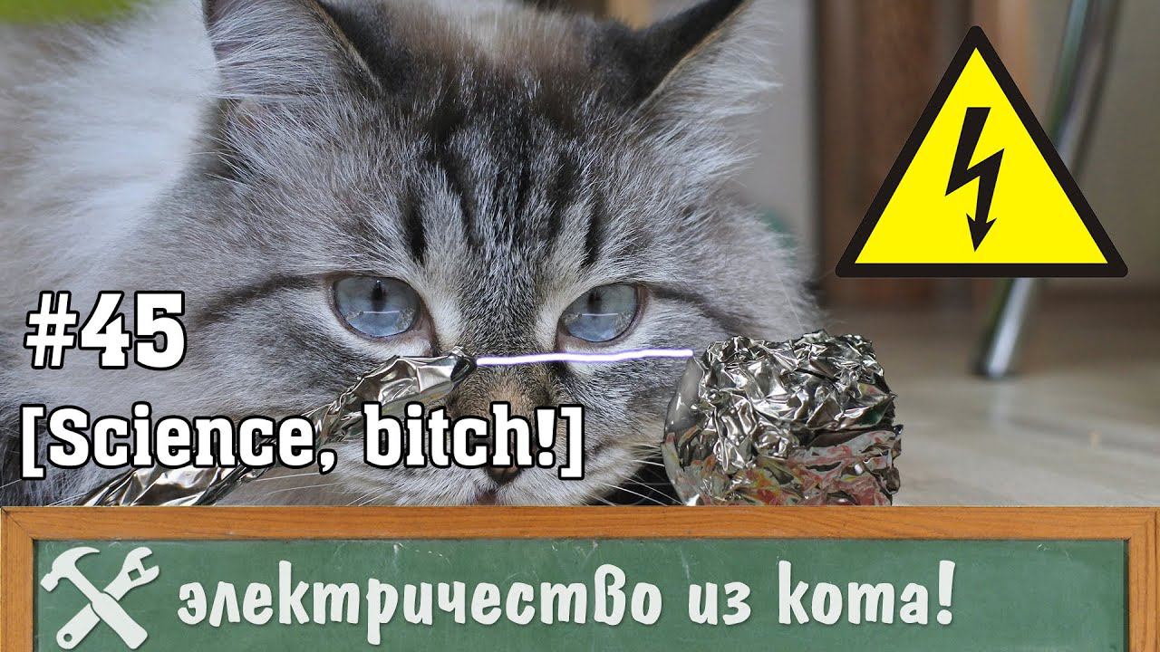 Бесплатное электричество из кота, или лейденская банка своими руками смотреть онлайн