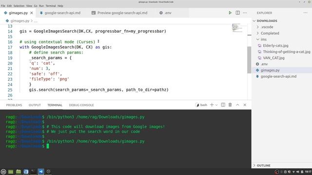 Google Image Search using API | Python Code смотреть онлайн