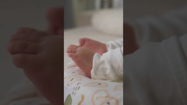 Нарядить можно и кокон смотреть онлайн