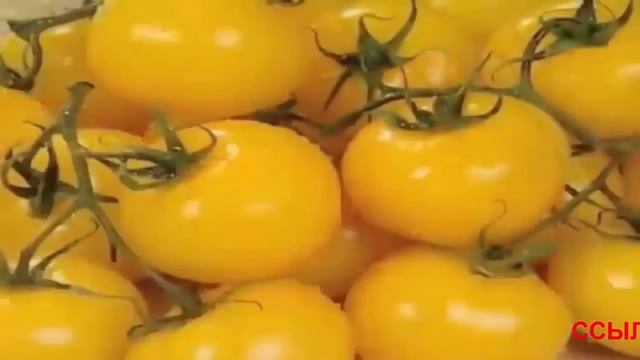 Подвесная грядка для клубники, овощей и цветов смотреть онлайн