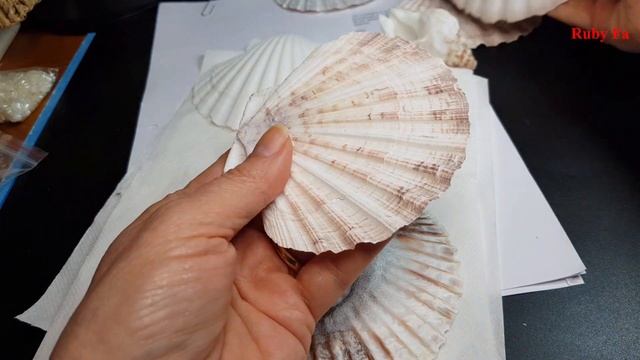 Объявляется Акция ! работа с ракушками морского гребешка смотреть онлайн