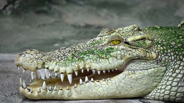 "Удивительное рядом" вместе с Яной Корчагиной. 3-выпуск. смотреть онлайн