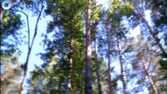 В селе Новососедово Искитимского района прошла экологическая акция "Оберегай" смотреть онлайн