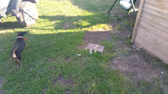 Нашёл ботинок золушки? смотреть онлайн