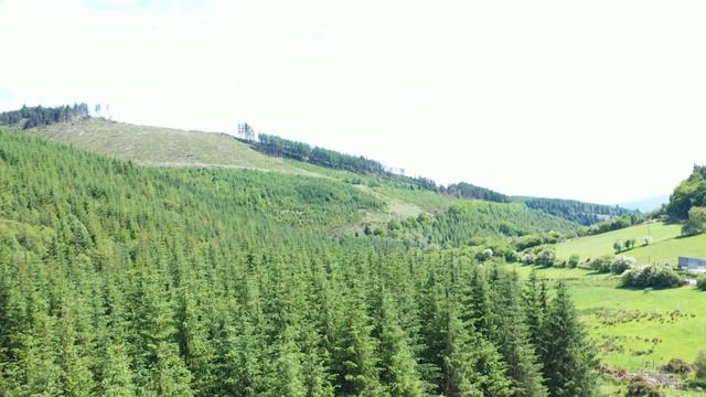 Привет из прошлого-золото в щетках-золото как найти смотреть онлайн