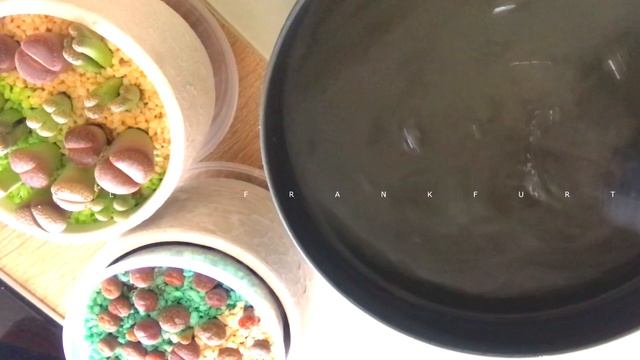 Белый налет на Толстянке. Борьба с Мучнистым Червецом смотреть онлайн