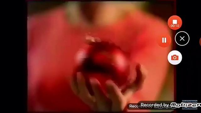 Фруктовый сад новый год 1998 1999 смотреть онлайн