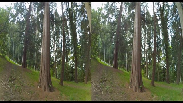 сочинский дендрарий 3d смотреть онлайн