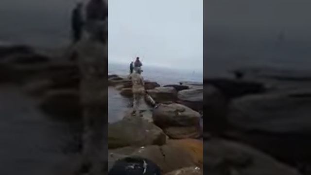 Вторая лакедра. Второй ракурс. смотреть онлайн