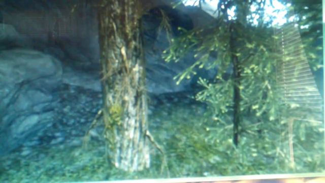 Weird skyrim shadow grid glitch смотреть онлайн