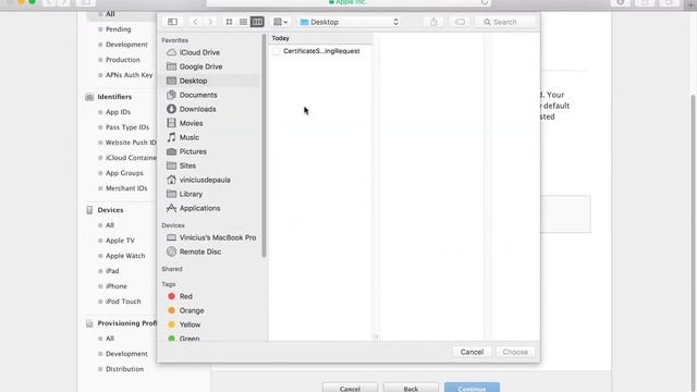 [Certificado APNs] iOS - Apple Push Services смотреть онлайн