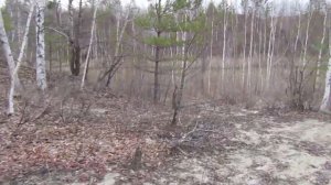 Бродилки от Бронислава 73