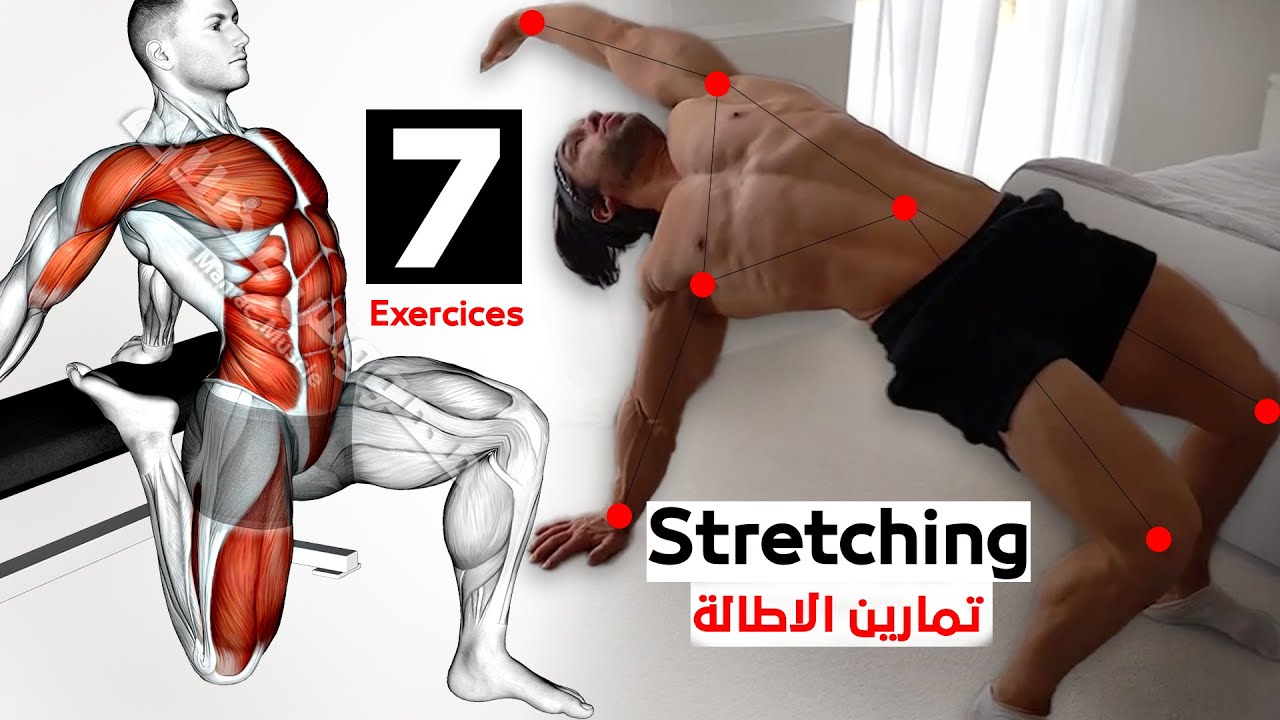 Растяжка всего тела после и до тренировки смотреть онлайн