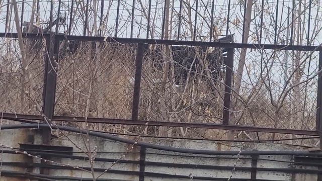 Что осталось от Лакокрасочного завода в городе Арамиль? смотреть онлайн
