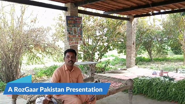 High Profit Business Idea 2022 | Gladiolus Flower Farming In Pakistan | Earn Upto 200% Profit смотреть онлайн