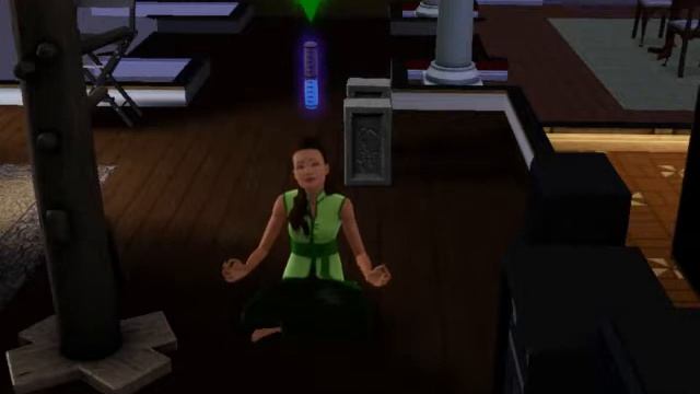 Видео по симс 3. Боевые искусства. смотреть онлайн