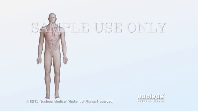Medical Animation: HIV and AIDS смотреть онлайн