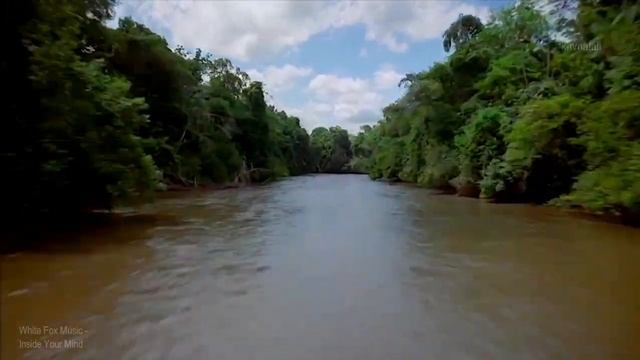 White Fox Music - Inside Your Mind  [ Video Edit ]