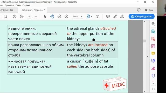 Полный базовый курс Медицинского Английского. Пример онлайн занятия. MEDiC с Татьяной Глушковой смотреть онлайн