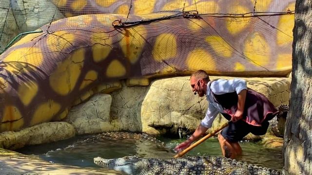 Крокодил Гена Нильский. nile crocodile смотреть онлайн