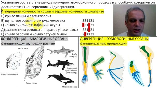 Видео-объяснение для Биоробота