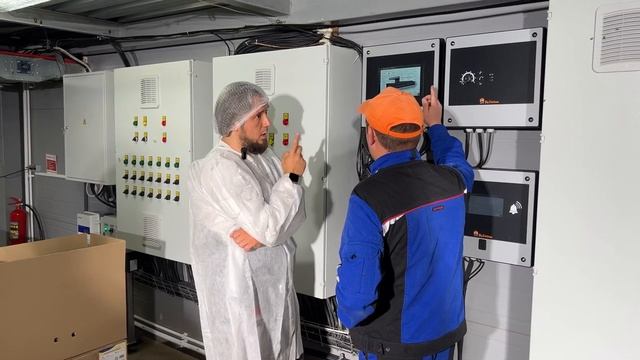 Домашние яйца в производственных масштабах смотреть онлайн