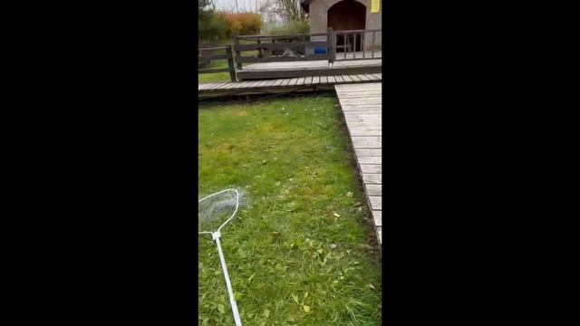 Половили форель в Улово смотреть онлайн