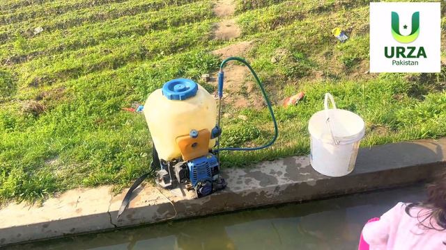 Steam Rot | Root Rot | Copper Sulphate | Best Fungicides | Success by DJC | Cuproxat |URZA Pakista смотреть онлайн