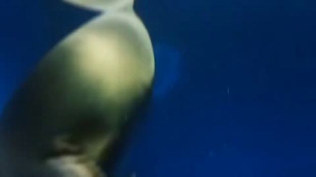 Байкал в 2022 году🌈▪︎Продолжение • смотреть онлайн