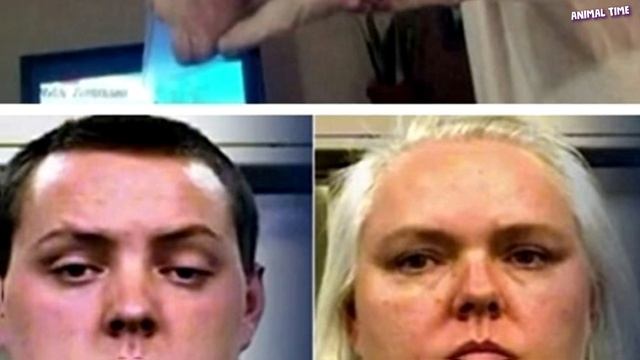 Чтобы щенок не дергался при съемке, его сперва засунули в пакет, а затем поместили в холодильник… смотреть онлайн