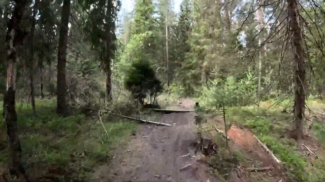 Пролетая над трассой Hard Trail. Первое место в золоте (I этап) смотреть онлайн
