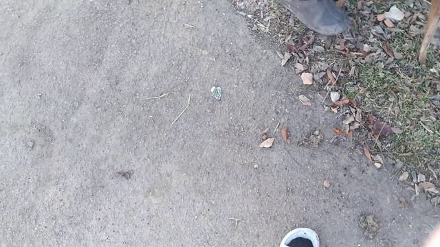 мы проникли на главную базу зомби смотреть онлайн