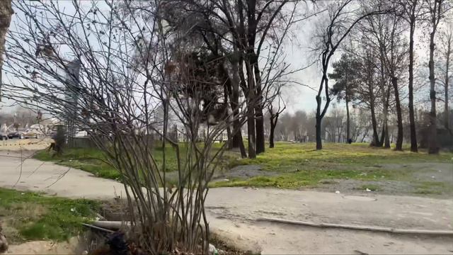 Душанбе 2024 (Мед. Университет) #tajikistan #душанбе #таджикистан #uzbekistan #казахстан #точикисто