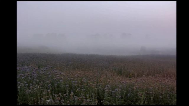 Прости. Стихи инока Всеволода (Филипьева), муз. и исп. Натальи Ястребовой смотреть онлайн